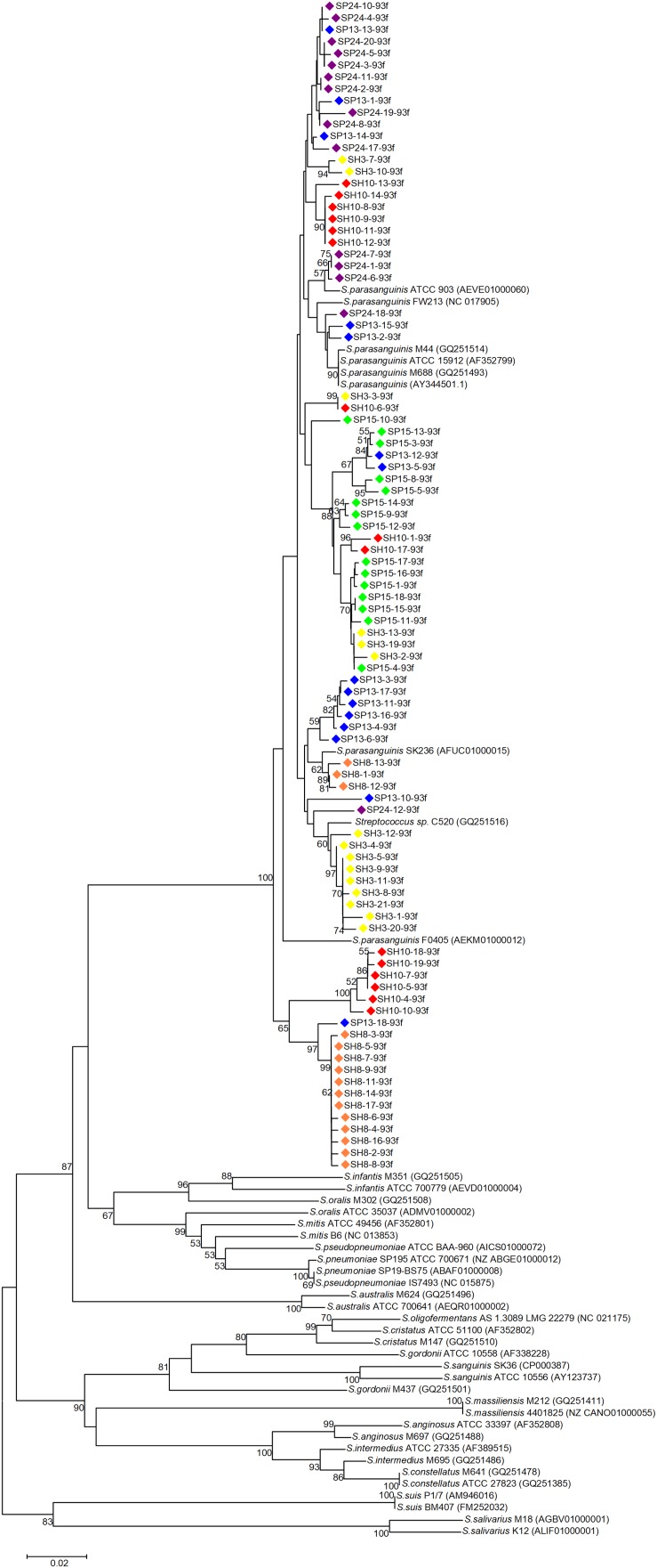 FIGURE 2