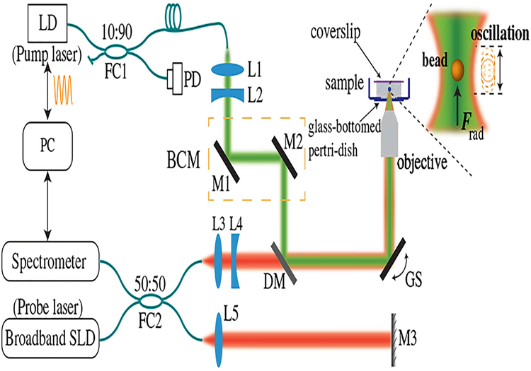 Fig. 1.