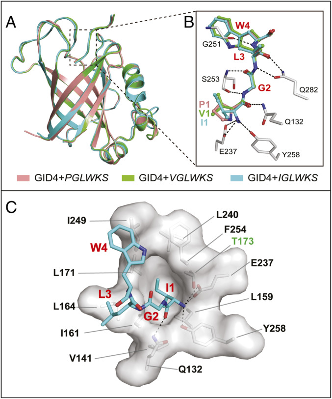 Fig. 4.