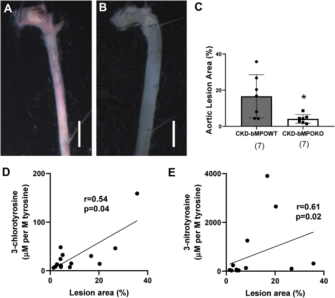 Figure 5