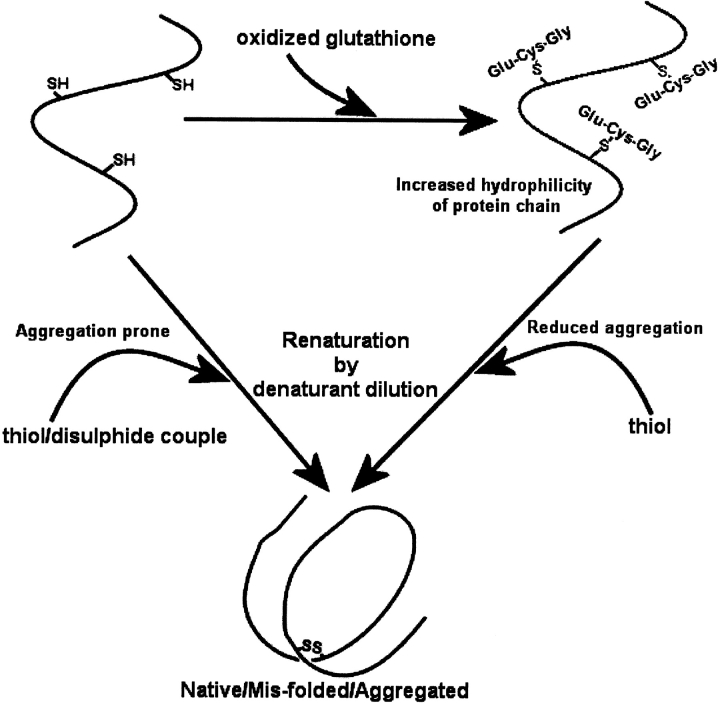 Figure 9.