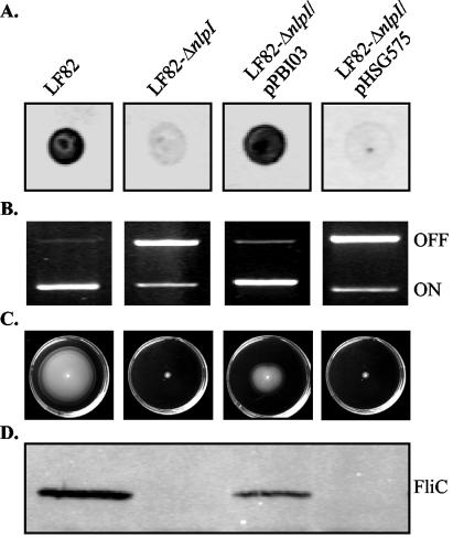 FIG. 4.