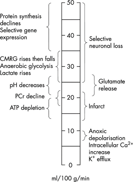 Fig. 1: