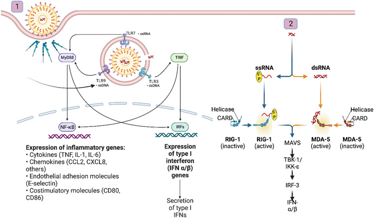 Figure 1.