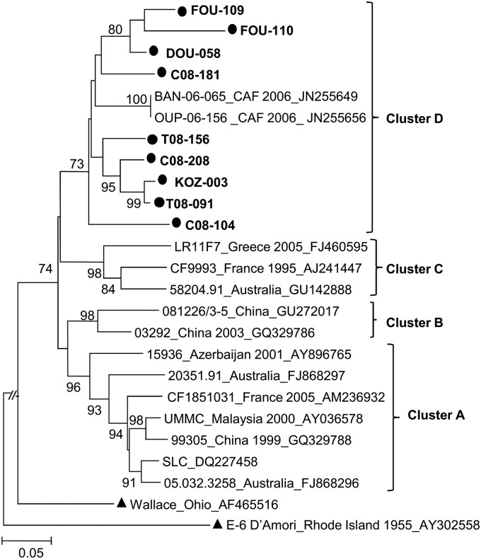 Fig 2