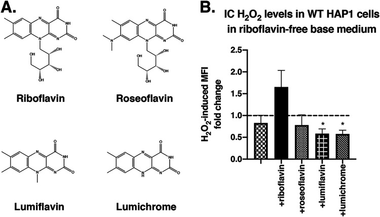 FIG 6