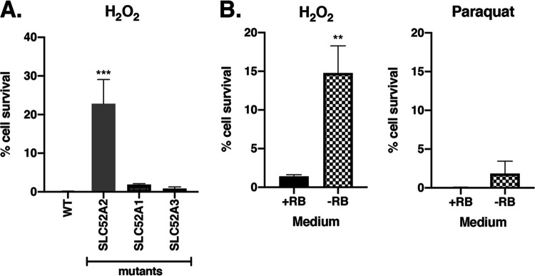 FIG 4