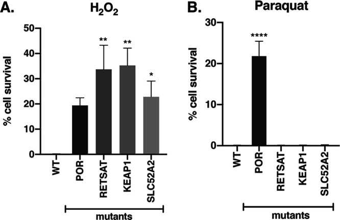 FIG 2