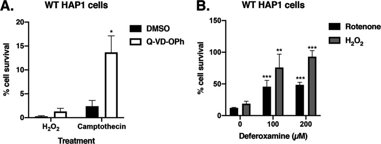 FIG 3