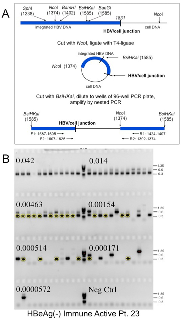 Figure 1: