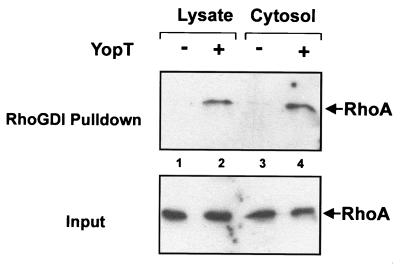 FIG. 6