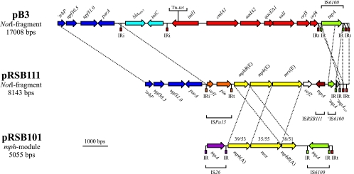 FIG. 1.