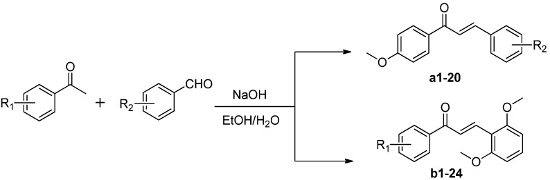 Scheme 1