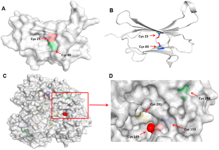 Fig. 9