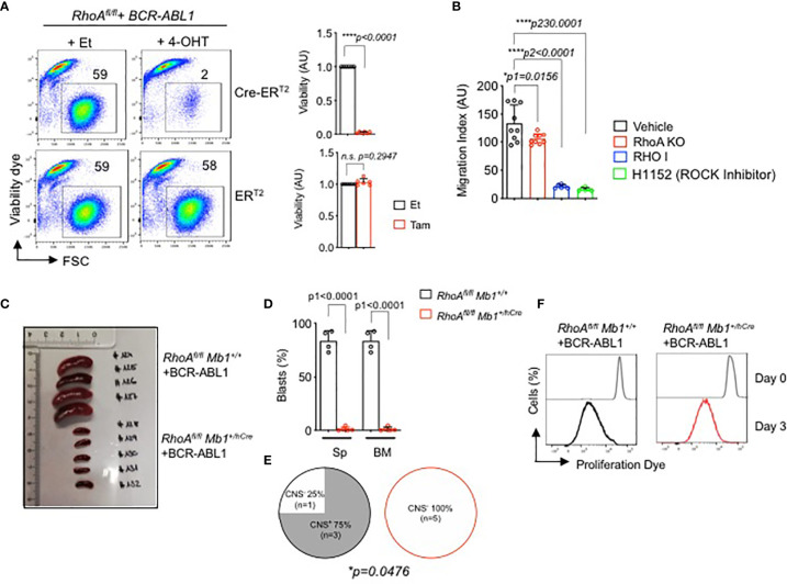 Figure 6