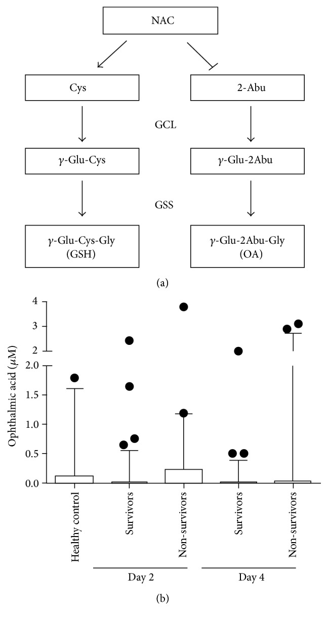 Figure 21