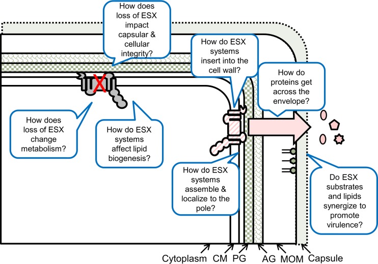 FIG 2