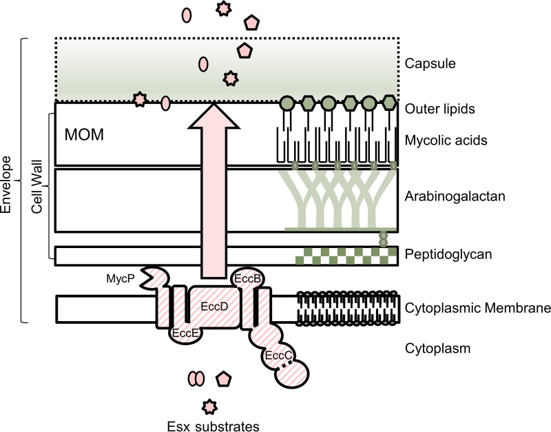 FIG 1