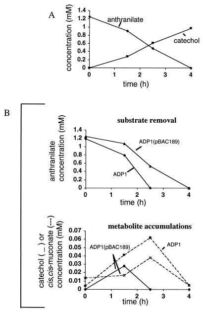 FIG. 5