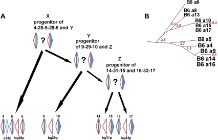 FIG. 3.—