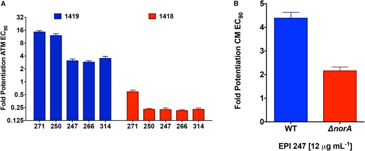 FIGURE 6