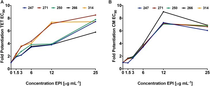 FIGURE 3