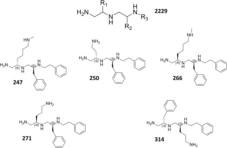 FIGURE 2