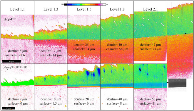 Figure 11