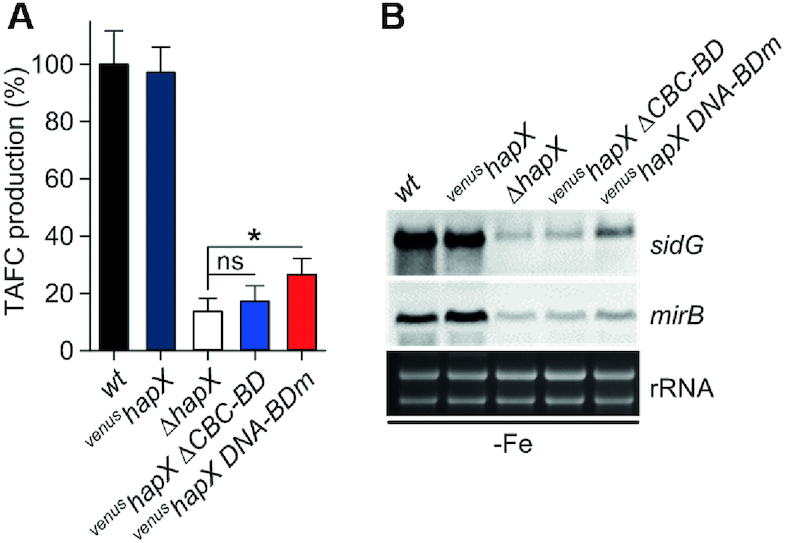 Figure 10.