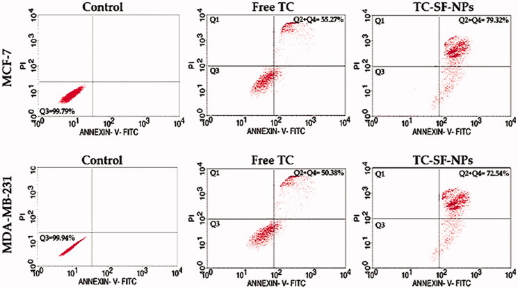 Figure 7.