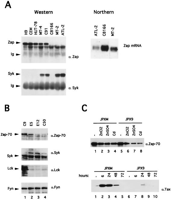 FIG. 5