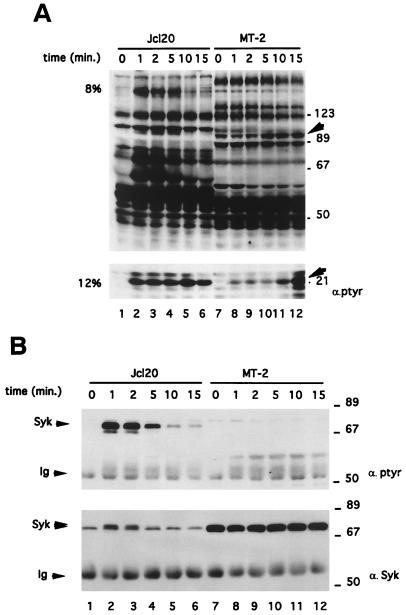 FIG. 6