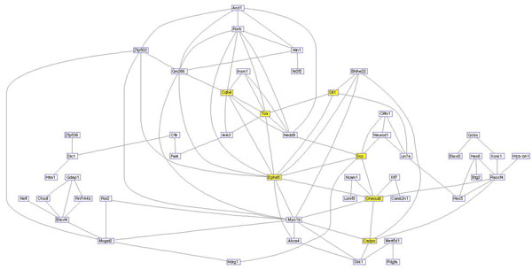 Figure 12