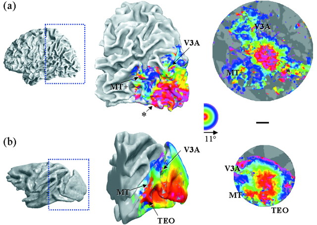 Fig. 15.