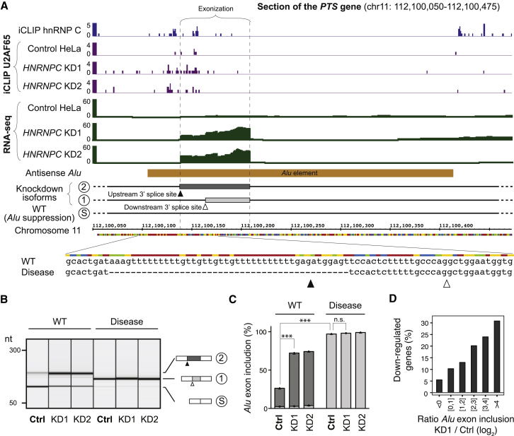 Figure 6