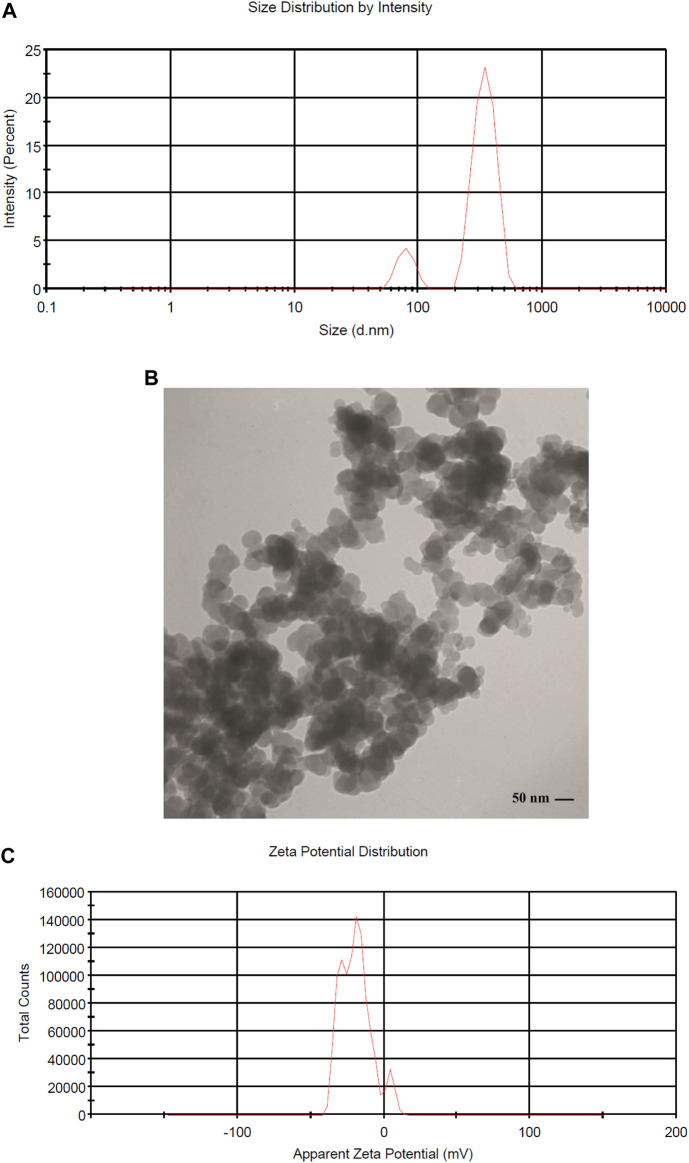 FIGURE 2