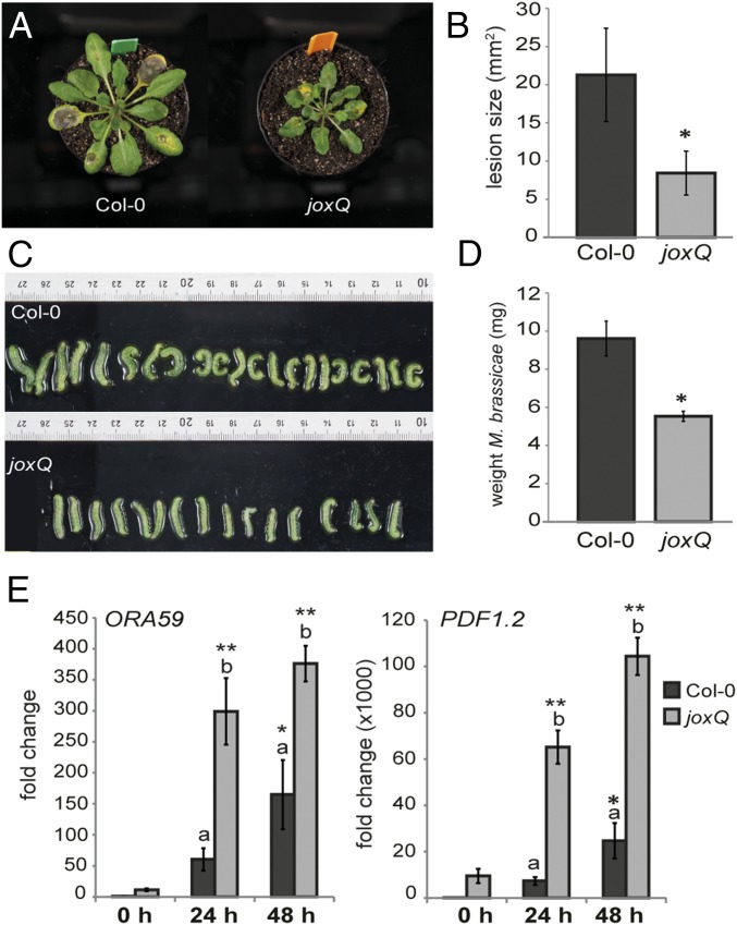 Fig. 3.