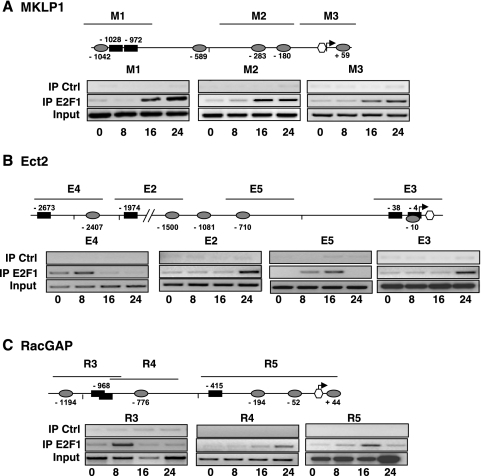 FIG. 9.