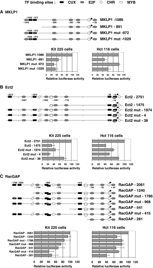 FIG. 6.