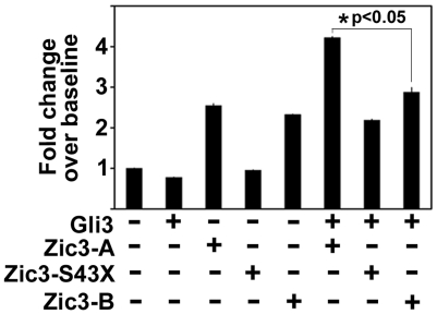 Figure 7