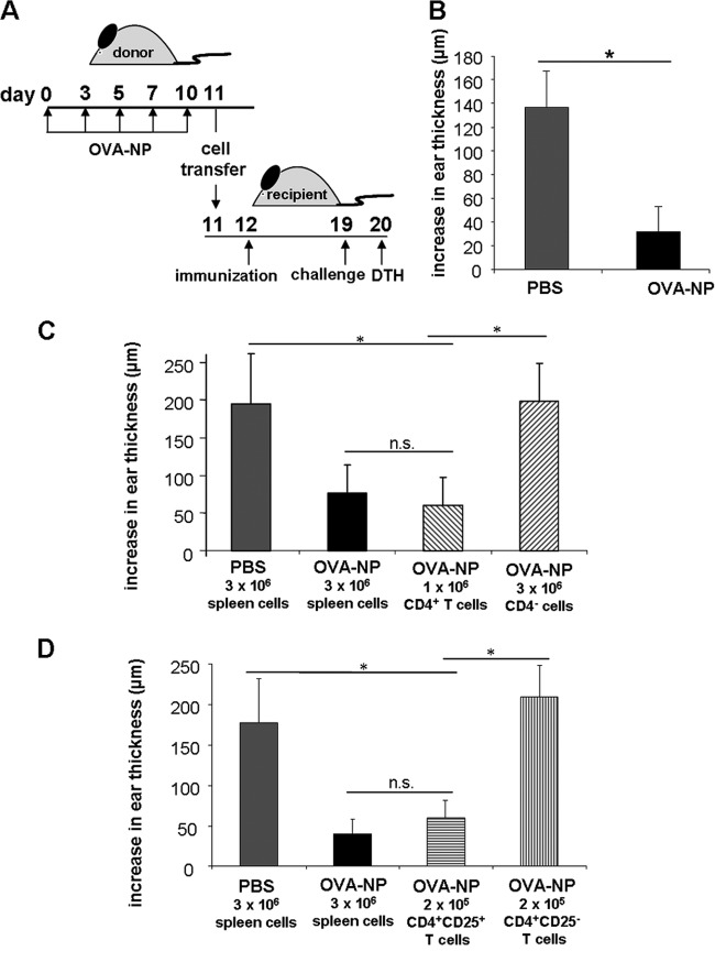 Fig 5