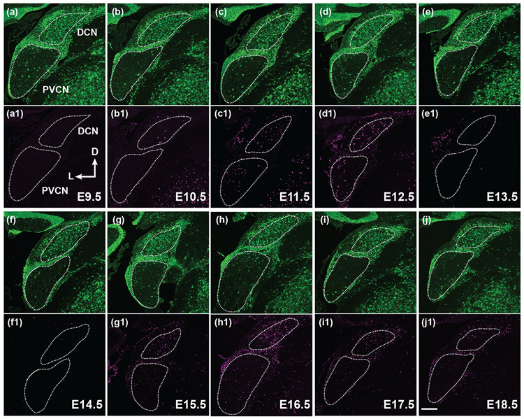 FIGURE 3