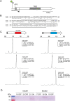 FIG 1