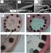 FIG. 6.