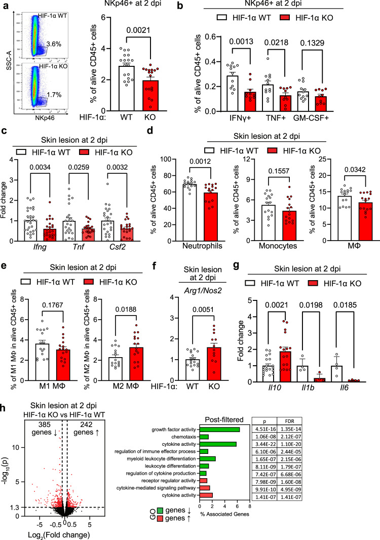 NK cells in hypoxic skin mediate a trade-off between wound healing and ...