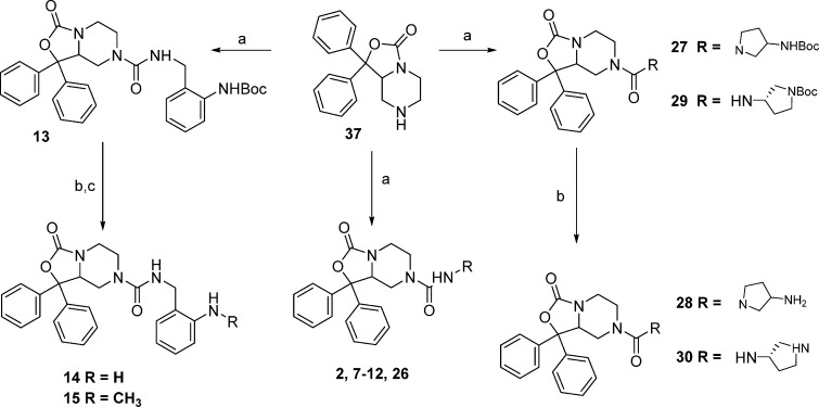 Scheme 3