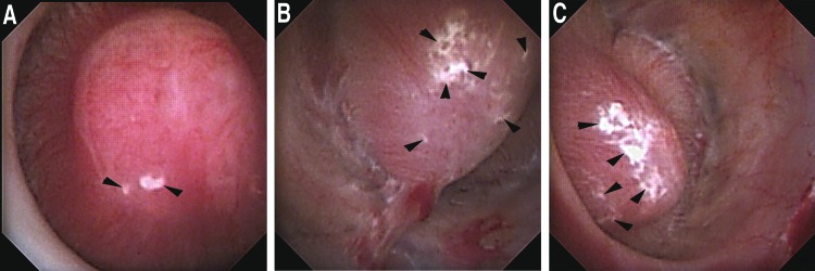 FIG. 1.