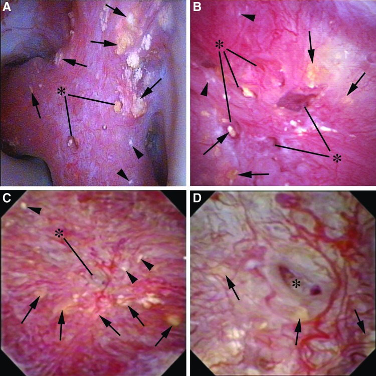 FIG. 2.