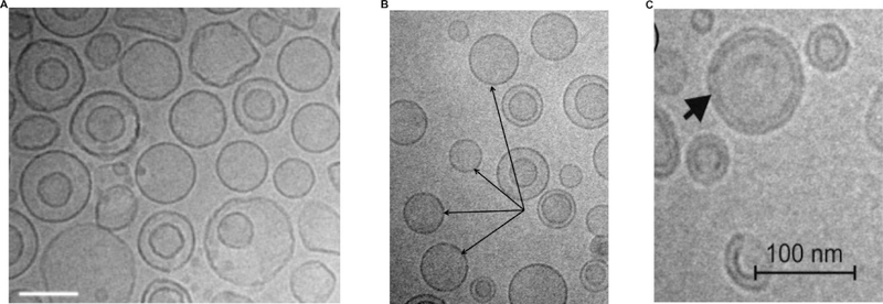 Figure 4: