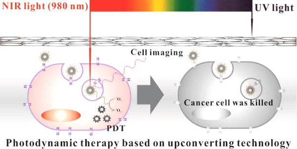 Figure 12: